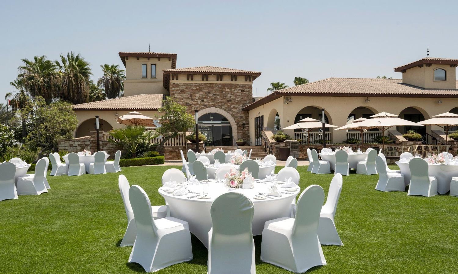 Dolphin Lawn