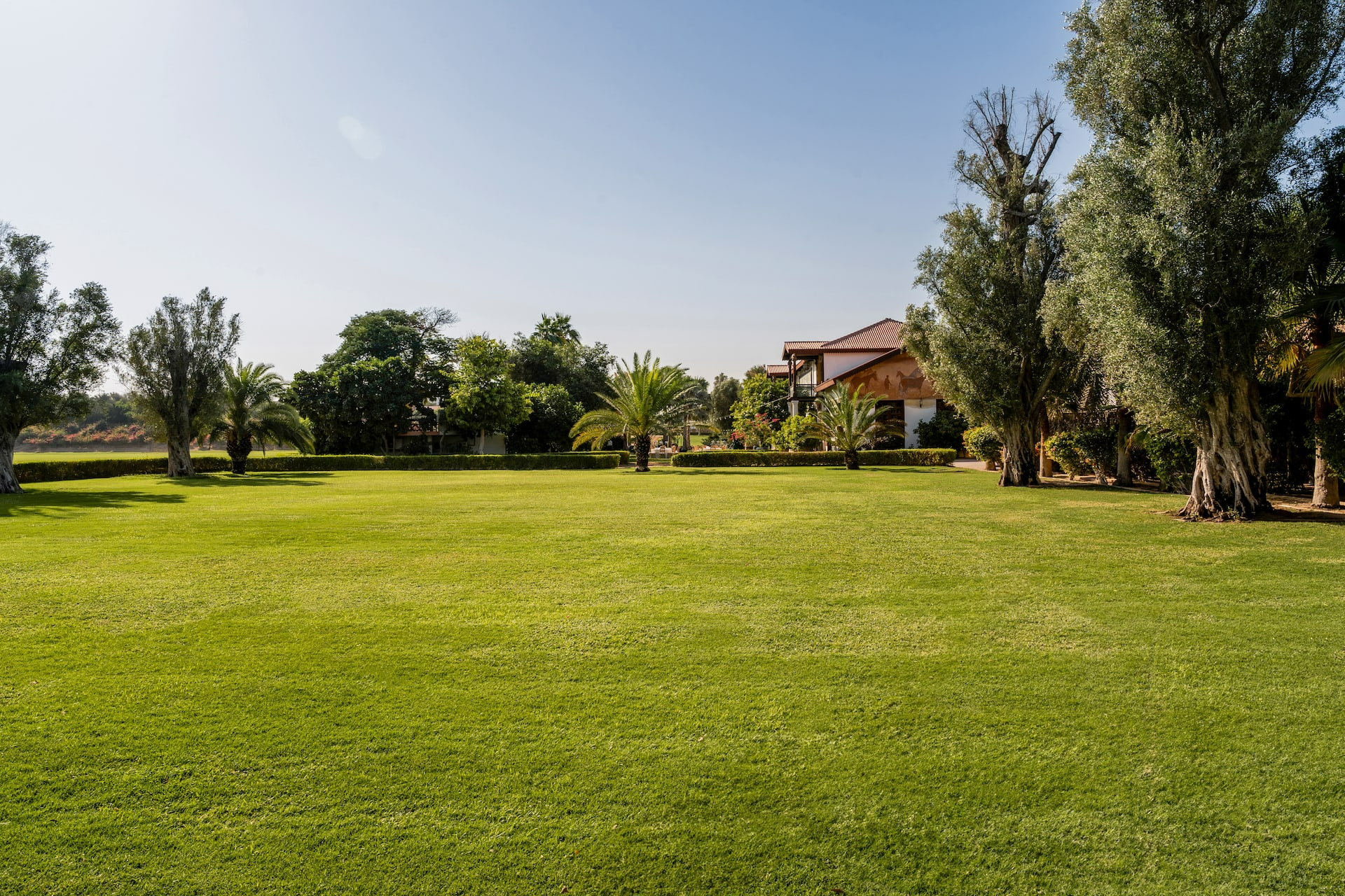 the_olive_garden_3