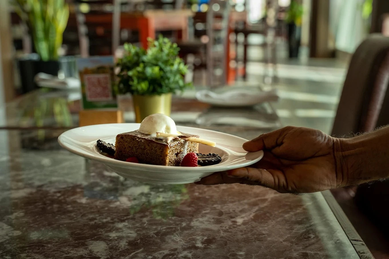 Food Photos