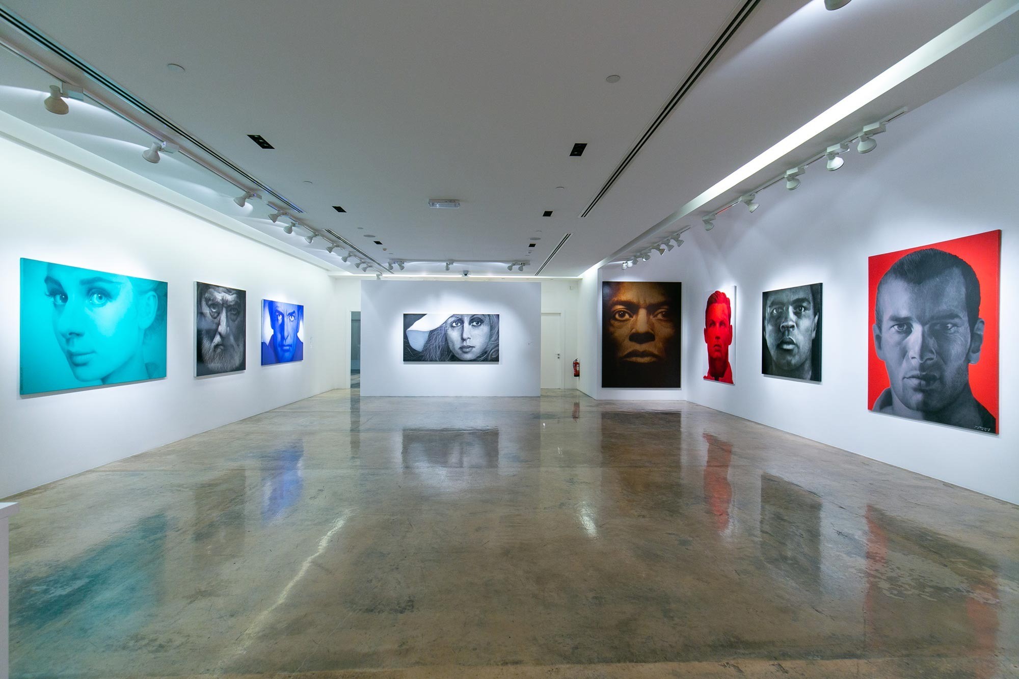 Anima Gallery