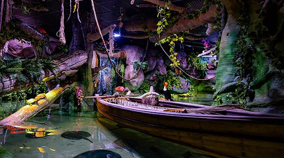 Flooded Forest